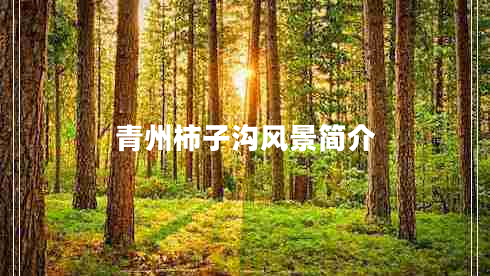 青州柿子溝風(fēng)景簡(jiǎn)介