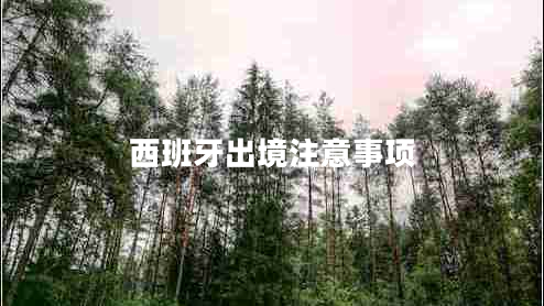 西班牙出境注意事項