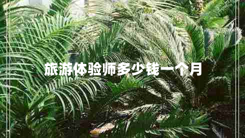 旅游體驗師多少錢(qián)一個(gè)月