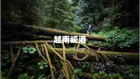 越南峴港