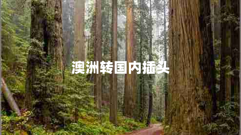 澳洲轉國內插頭