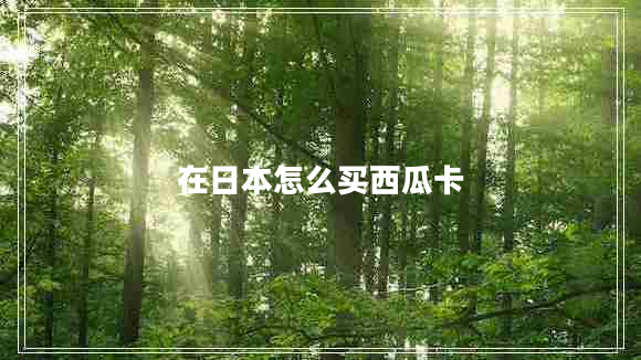 在日本怎么買(mǎi)西瓜卡