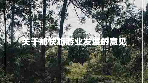 關(guān)于加快旅游業(yè)發(fā)展的意見(jiàn)
