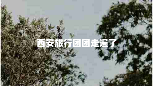 西安旅行團團走遍了