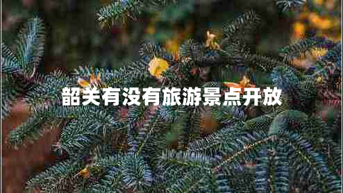 韶關(guān)有沒(méi)有旅游景點(diǎn)開(kāi)放