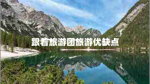 跟著(zhù)旅游團旅游優(yōu)缺點(diǎn)