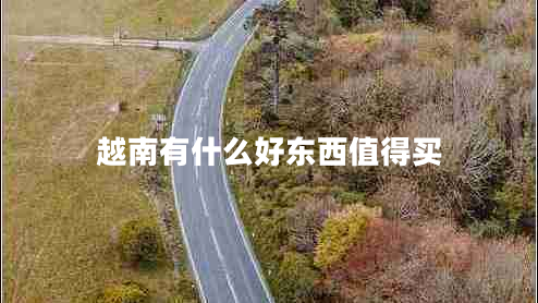 越南有什么好東西值得買(mǎi)