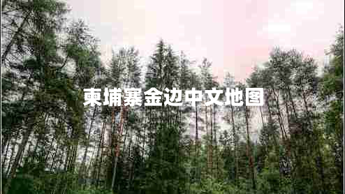 柬埔寨金邊中文地圖