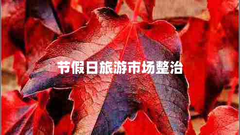 節假日旅游市場(chǎng)整治