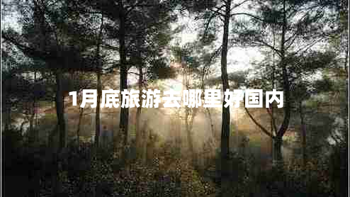 1月底旅游去哪里好國內