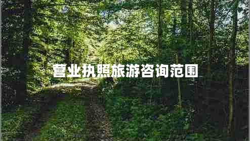 營(yíng)業(yè)執照旅游咨詢(xún)范圍