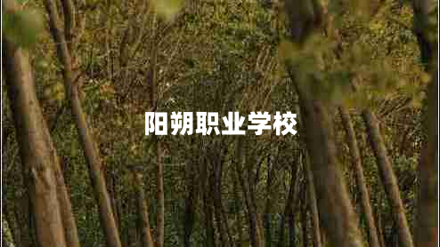 陽(yáng)朔職業(yè)學(xué)校