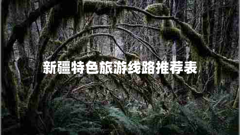 新疆特色旅游線(xiàn)路推薦表