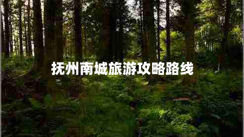 撫州南城旅游攻略路線(xiàn)