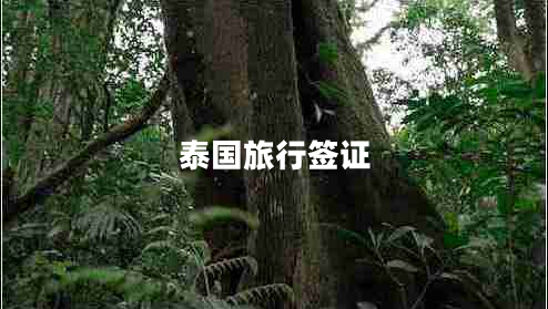 泰國旅行簽證