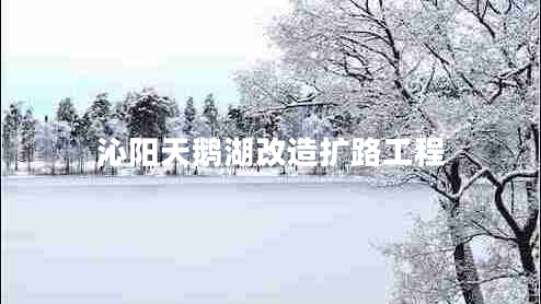沁陽(yáng)天鵝湖改造擴路工程