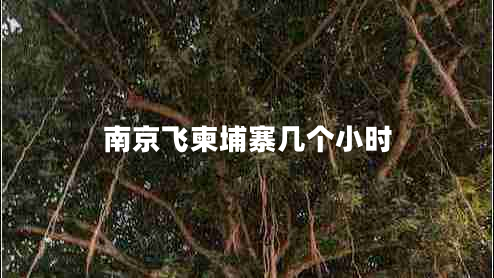 南京飛柬埔寨幾個(gè)小時(shí)