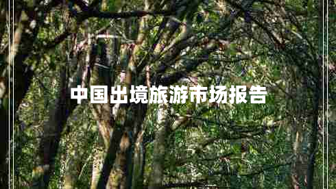 中國出境旅游市場(chǎng)報告