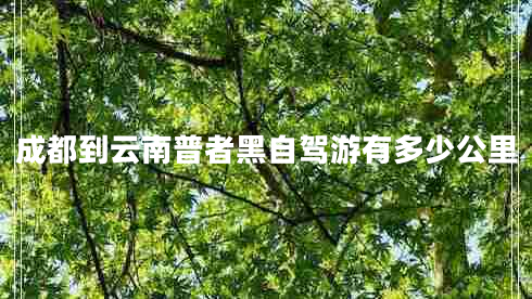 成都到云南普者黑自駕游有多少公里