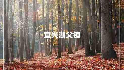 宜興湖父鎮