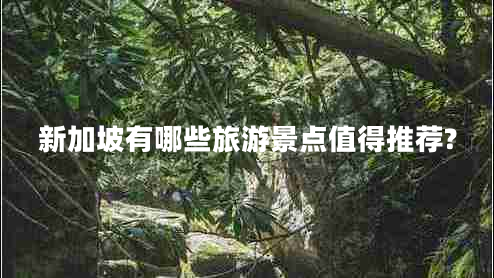 新加坡有哪些旅游景點(diǎn)值得推薦?
