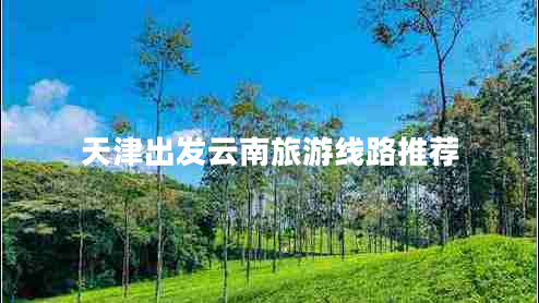 天津出發(fā)云南旅游線(xiàn)路推薦