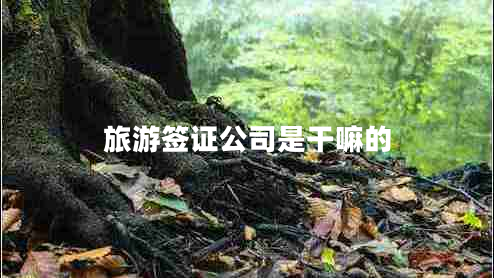 旅游簽證公司是干嘛的