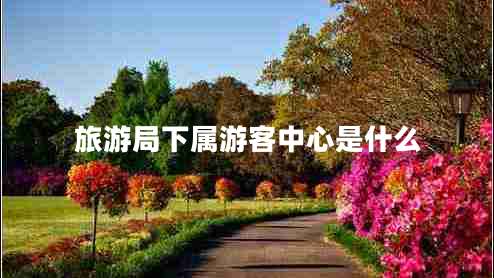 旅游局下屬游客中心是什么