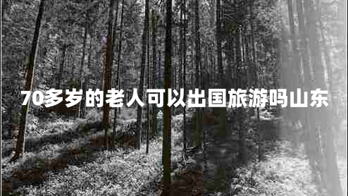 70多歲的老人可以出國旅游嗎山東