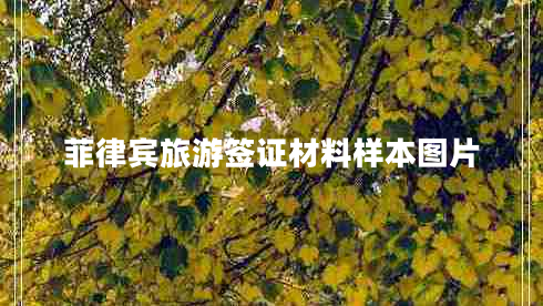 菲律賓旅游簽證材料樣本圖片