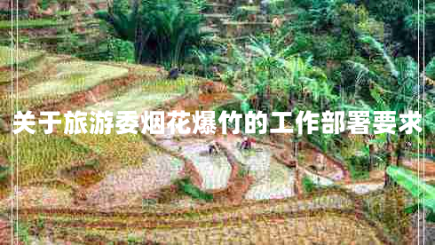 關(guān)于旅游委煙花爆竹的工作部署要求