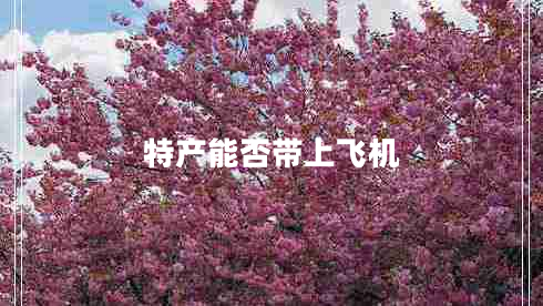 特產(chǎn)能否帶上飛機
