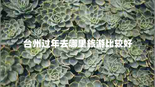 臺州過(guò)年去哪里旅游比較好