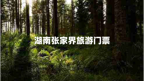 湖南張家界旅游門(mén)票