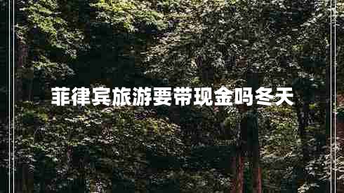 菲律賓旅游要帶現金嗎冬天