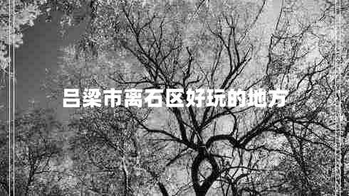 呂梁市離石區好玩的地方