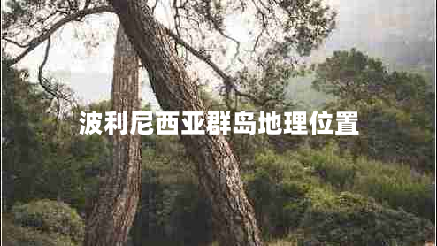 波利尼西亞群島地理位置
