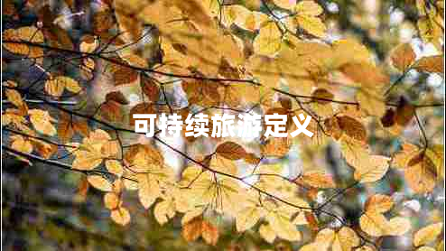 可持續旅游定義