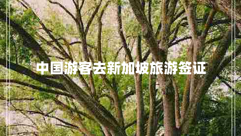 中國游客去新加坡旅游簽證