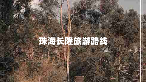 珠海長(cháng)隆旅游路線(xiàn)