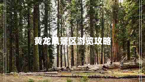 黃龍風(fēng)景區游覽攻略