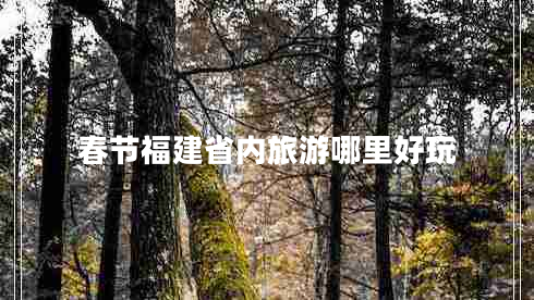 春節福建省內旅游哪里好玩