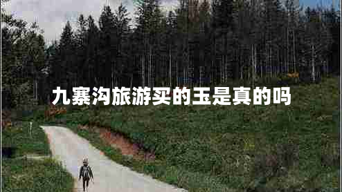 九寨溝旅游買(mǎi)的玉是真的嗎