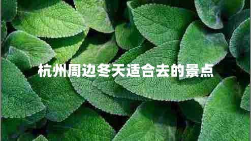 杭州周邊冬天適合去的景點(diǎn)