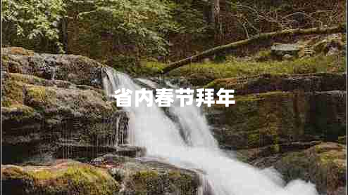 省內春節拜年
