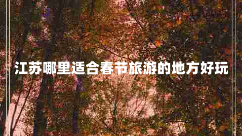 江蘇哪里適合春節旅游的地方好玩
