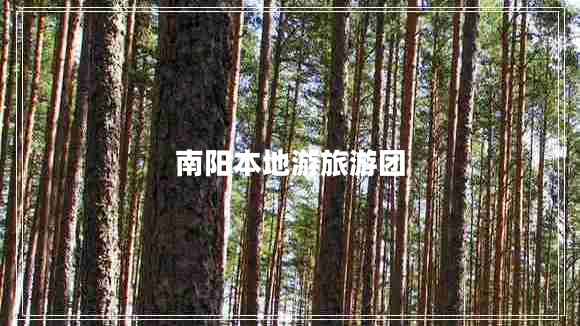 南陽(yáng)本地游旅游團