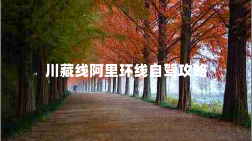 川藏線(xiàn)阿里環(huán)線(xiàn)自駕攻略