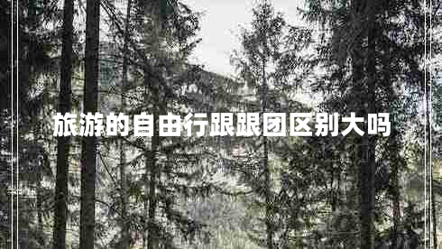 旅游的自由行跟跟團區別大嗎