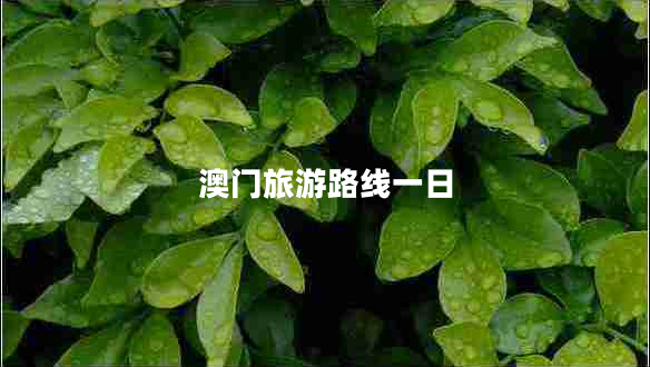 澳門(mén)旅游路線(xiàn)一日